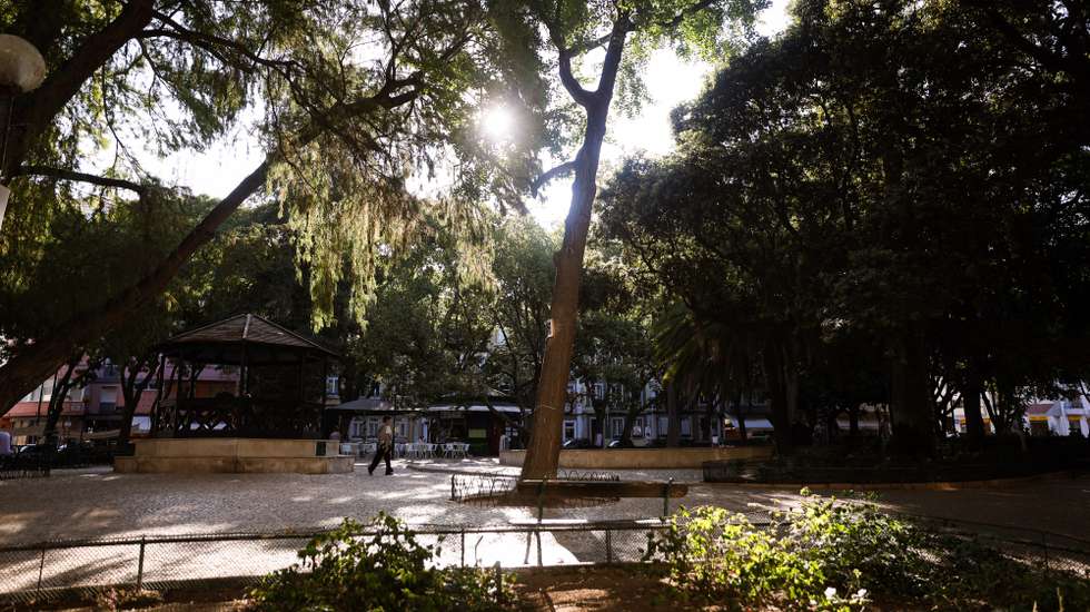 Novo centro de saúde de Campo de Ourique terá consultas de nutrição, psicologia, saúde oral e terapia da fala