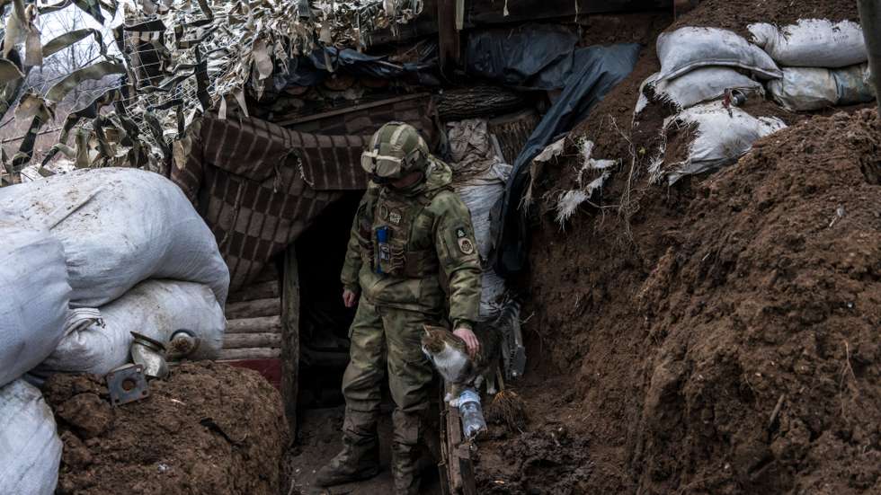 Soldados ucranianos com os seus "companheiros de estimação" na zona de Donbas, na Ucrânia, que tem sido disputada com tropas separatistas