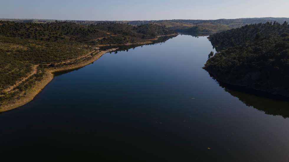 Reportagem sobre a influência da Barragem do Alqueva na agricultura do Alentejo. Reportagem sobre um olival de produção intensiva perto da Beja. Alqueva, Beja, 10 de fevereiro de 2022. JOÃO PORFÍRIO/OBSERVADOR