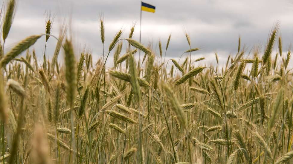 Agriculture During The War With Russia