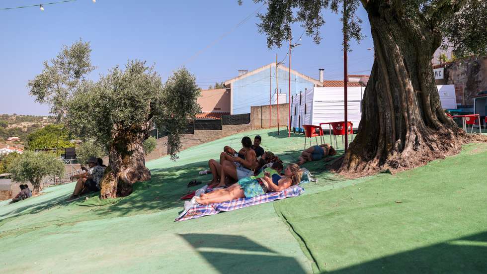 A aldeia de Cem Soldos é fechada e o seu perímetro delimita o recinto que acolhe uma dezena de palcos integrados nas ruas, praças, largos, auditório, igreja e até em garagens e lagares