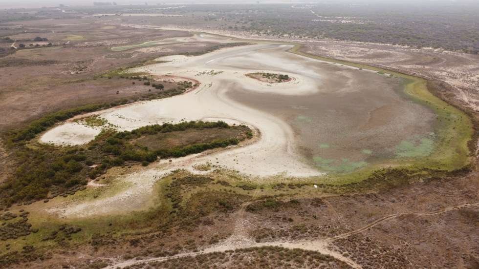 Lagoa de Santa Olalla seca, no Parque Nacional de Doñana