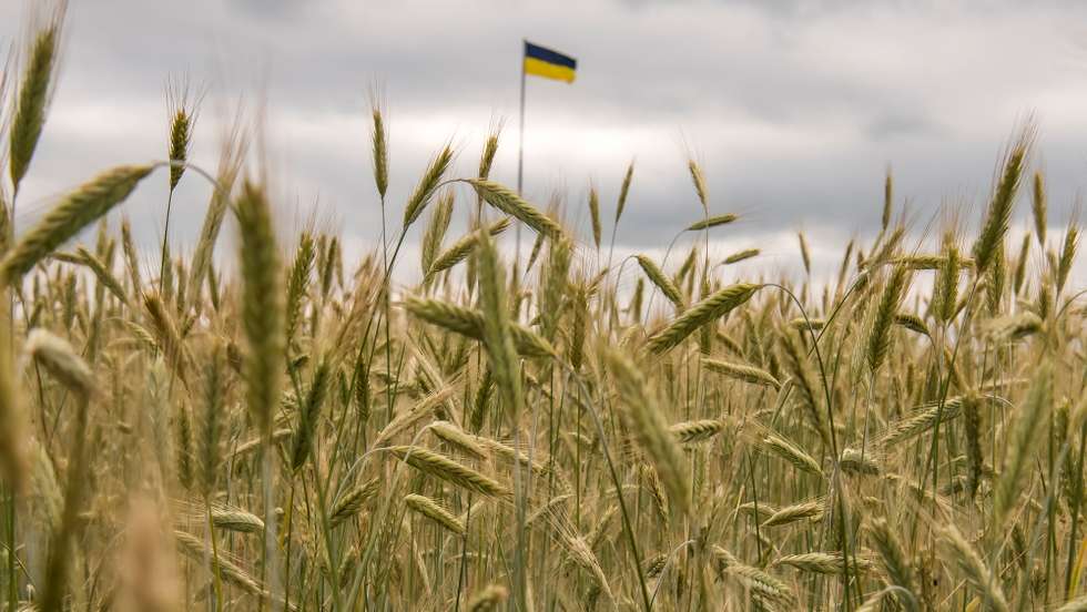 Agriculture During The War With Russia
