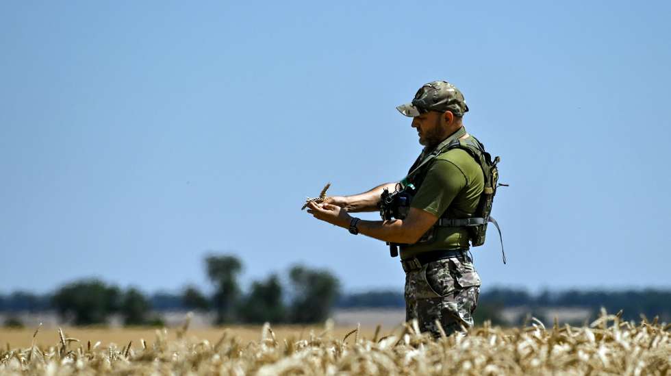 Harvesting crops in Zaporizhzhia Region