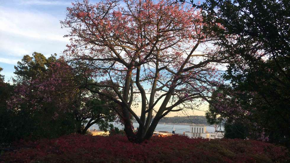 O Jardim 9 de Abril, em Lisboa