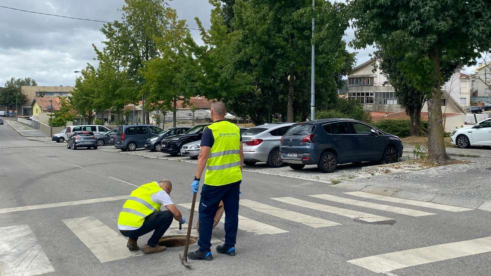 Reportagem em Águas Santas sobre praga de baratas
