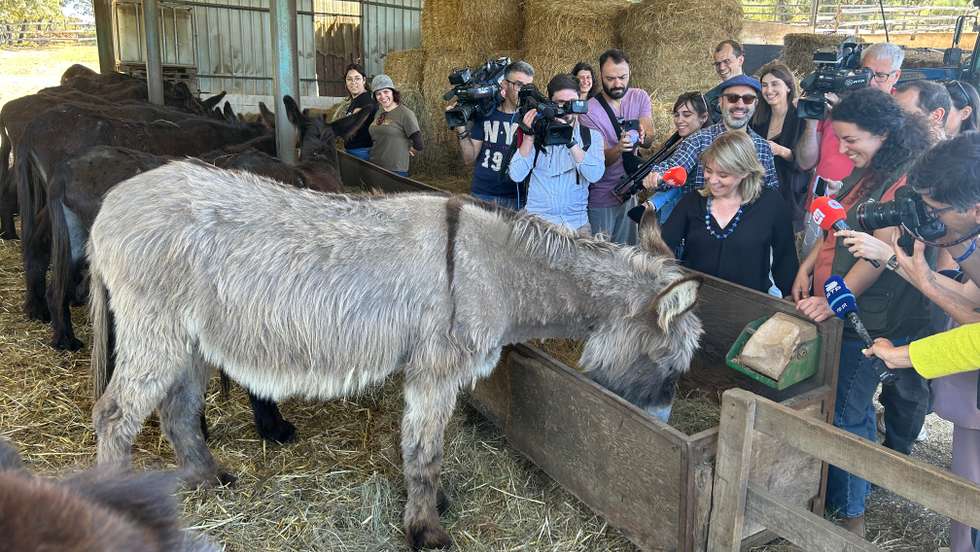 Catarina Martins esteve em Miranda do Douro num centro de valorização do burro mirandês