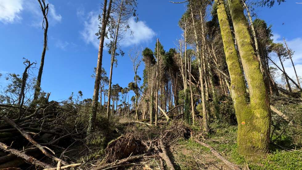 Área afetada atinge quase 300 hectares de paisagem protegida e classificada pela UNESCO
