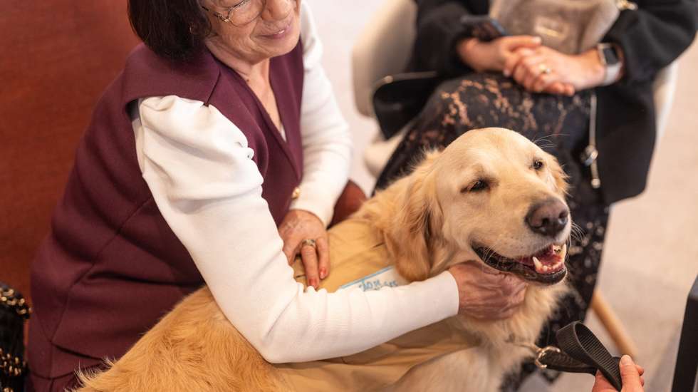 Entre as atividades está a terapia assistida por animais, com dois cães treinados