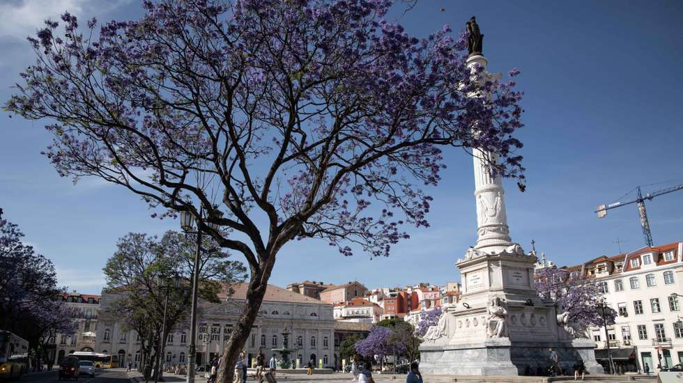 Saída da marcha está prevista para as 13h00, mas a concentração começa pelas 11h30 na Praça do Rossio