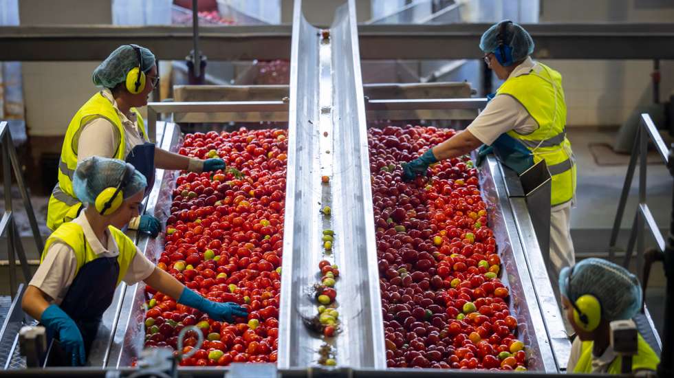 Decisões de organização do trabalho, avaliação, progressão na carreira, aplicação de sanções disciplinares, manutenção ou cessação do contrato de trabalho e de recrutamento são abrangidas