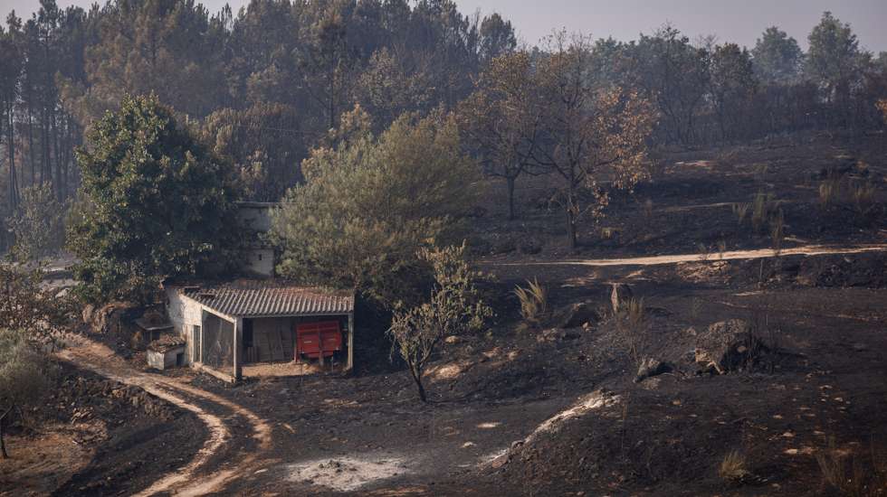 Proposta surge na sequência dos incêndios que têm afetado o país este verão, causando várias vítimas