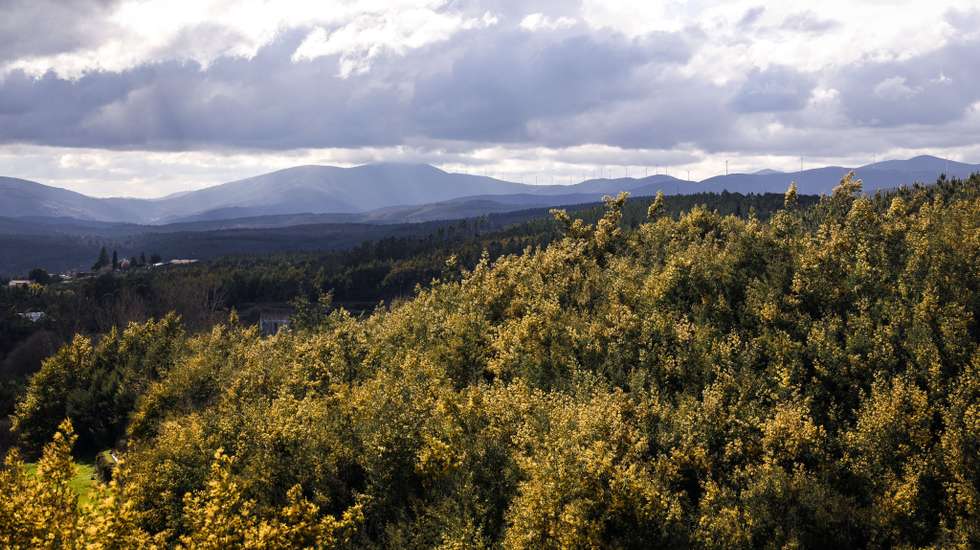 Serra da Estrela