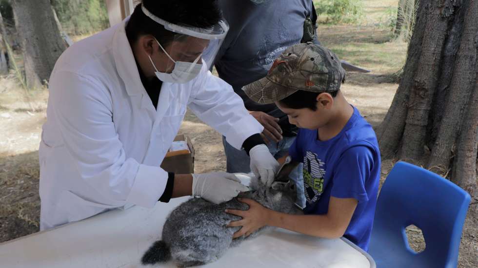 Coronavirus Emergency In Mexico