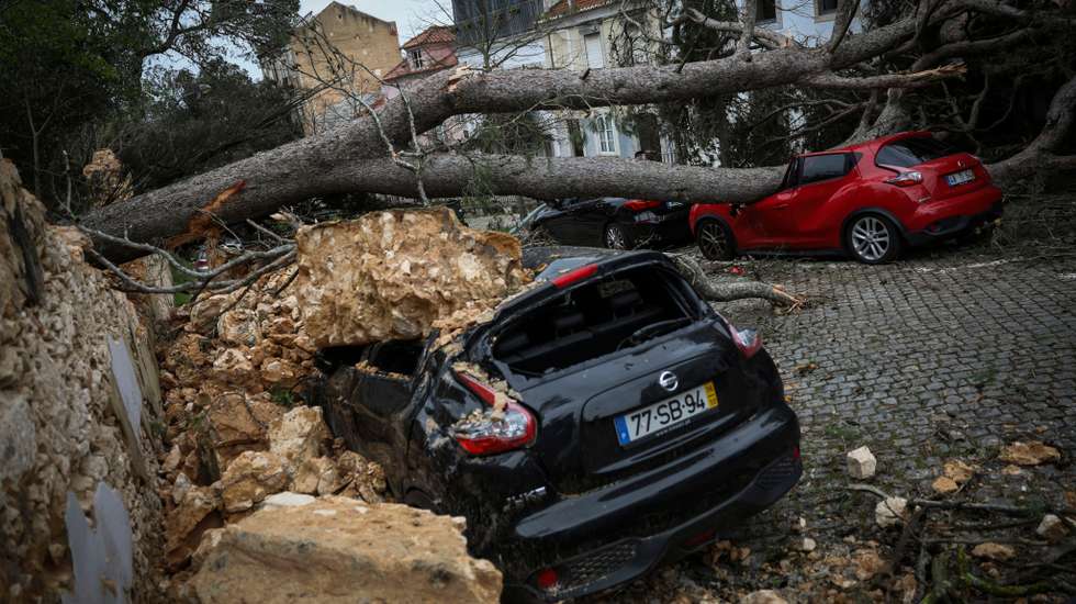 Carro atingido por árvore na Estrada da Luz, em Lisboa
