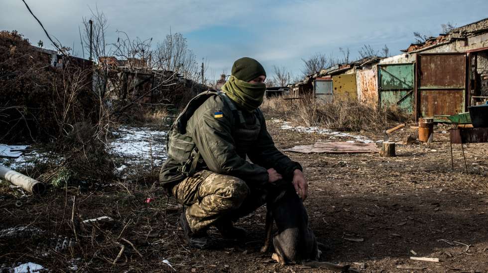 Soldados ucranianos com os seus "companheiros de estimação" na zona de Donbas, na Ucrânia, que tem sido disputada com tropas separatistas