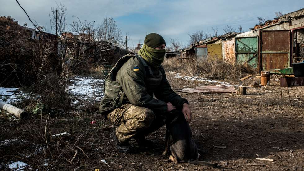 Soldados ucranianos com os seus "companheiros de estimação" na zona de Donbas, na Ucrânia, que tem sido disputada com tropas separatistas