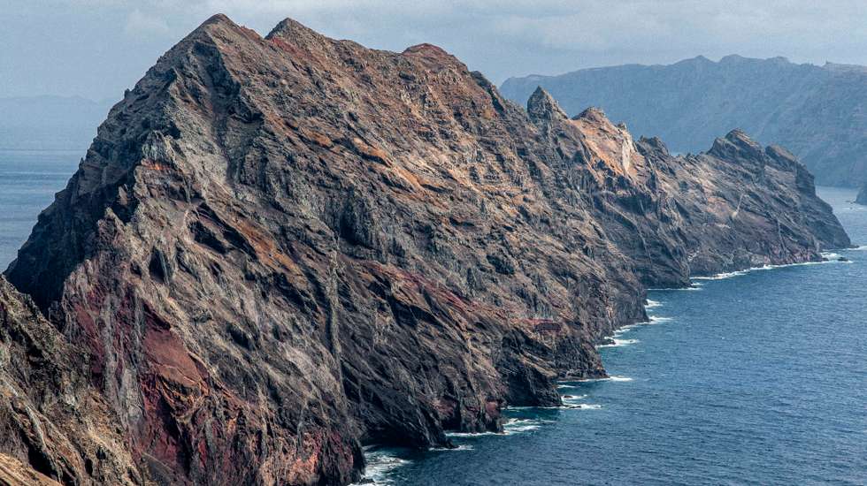 São cerca de 230 fotografias que nos dão sinal da variedade do mundo natural nas ilhas portuguesas, mas também nos trazem a presença de outros naturalistas em campo