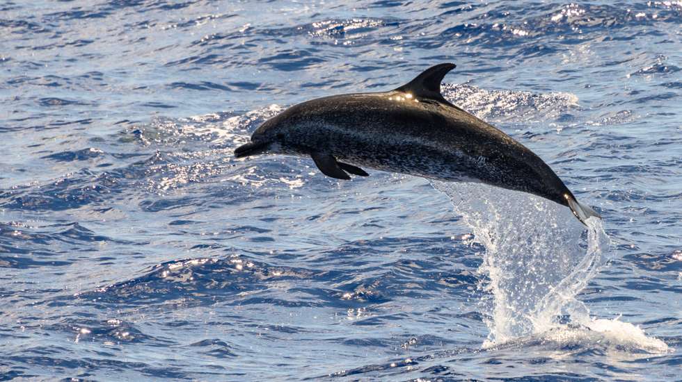Tourism in Madeira Island