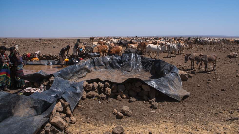 Somali people collecting water in a tank in the desert, Afar region, Yangudi rassa national park, Ethiopia