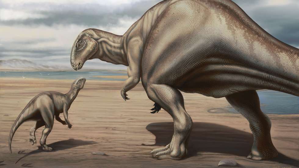 iguanodontianos descoberto em Portugal