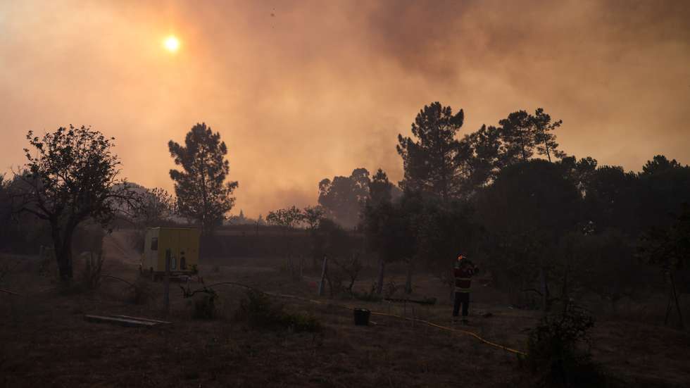 Apenas os concelhos de Esposende, Póvoa de Varzim, Murtosa, Aveiro, Ílhavo, Olhão, Faro, Albufeira e Lagoa estão em risco moderado de incêndio