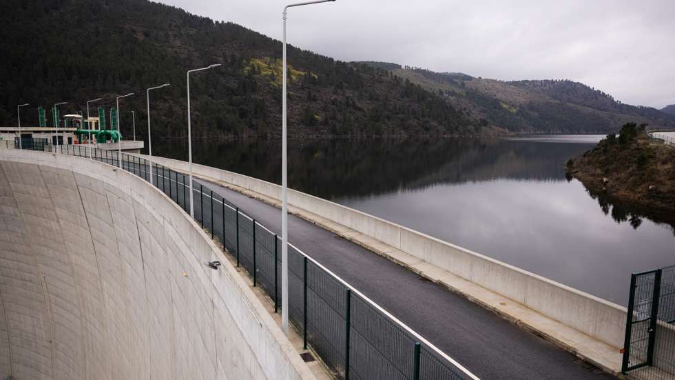 Associação Zero acha necessária "uma política de reflorestação intensa das encostas, como resposta estrutural, em particular das serras do Açor e da Lousã"