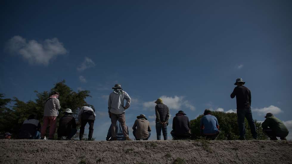 O concelho aumentou a sua população nos últimos anos, devido à chegada de novos residentes, incluindo migrantes, existindo 11.879 habitantes em 2023