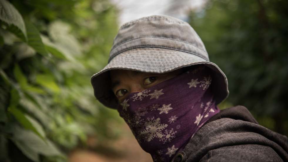"O problema é que muito deste lucrativo negócio dos frutos vermelhos tem como base e fonte a exploração laboral", diz a deputada Joacine Katar Moreira sobre os trabalhadores explorados em Odemira