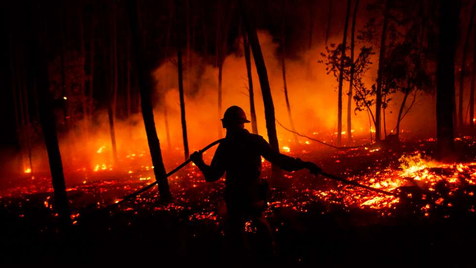 Incêndios de Pedrógão grande
