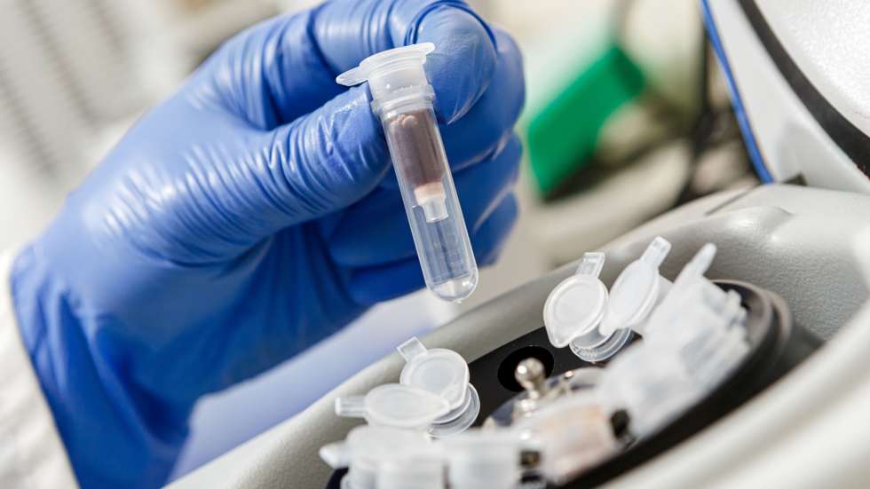 Molecular genetics laboratory of Uzhhorod National University
