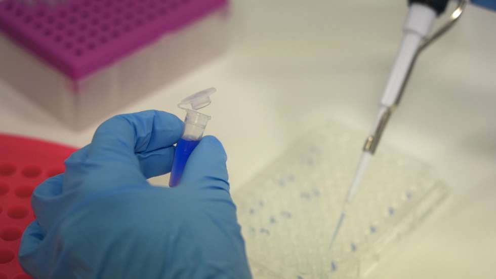 Presentation Of The First Clinical Trial Of Oncomatryx For Patients With Metastatic Tumors