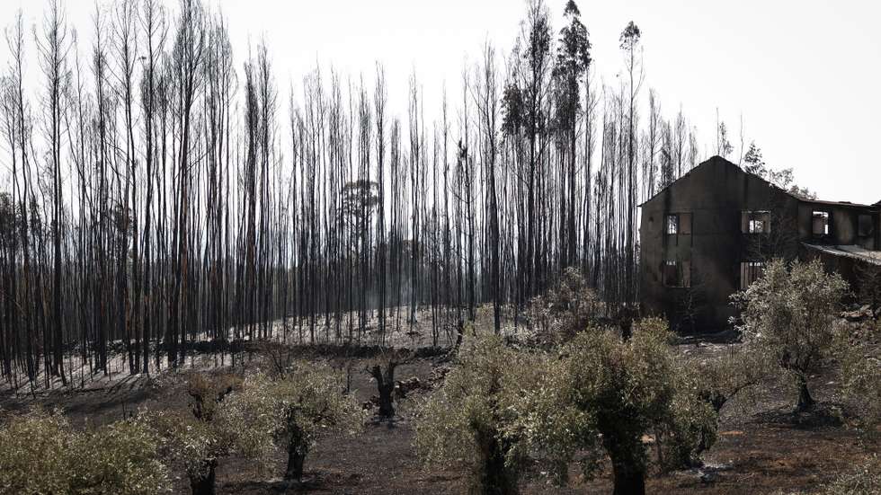A GNR é responsável pela coordenação da rede de vigilância e deteção de incêndios