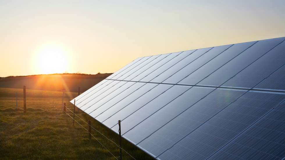 Solar Panels in a field at sunrise.