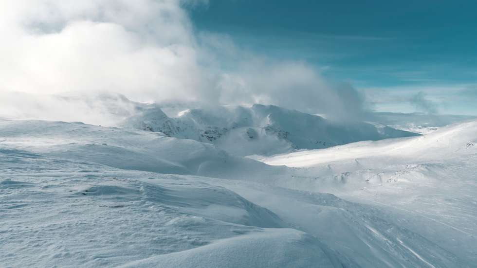 Winter landscape