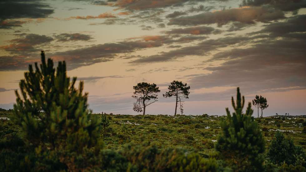 Proposta abrange uma área total de cerca de 3.734 hectares localizados nos concelhos de Alcanena, Ourém e Torres Novas
