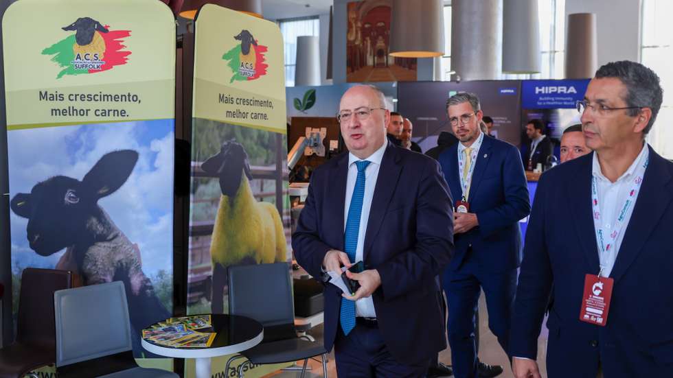 Os agricultores pedem a adoção imediata de políticas administrativas para resolver os "constrangimentos e dificuldades"