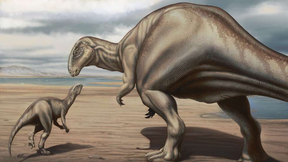 iguanodontianos descoberto em Portugal