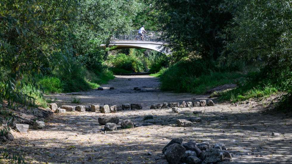 Drought in Dresden