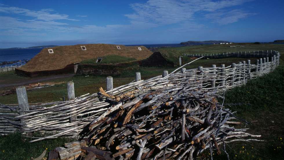 Ancient Viking settlement