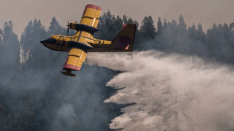 Forest Fires In Portugal