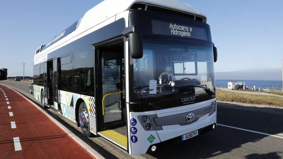 Para já, este projecto destina-se a abastecer os autocarros eléctricos a fuel cell cujo itinerário cobre zonas particularmente sensíveis, do ponto de vista ambiental, no concelho de Cascais. Mas o futuro passará por alargar o hidrogénio verde produzido localmente aos veículos de recolha do lixo