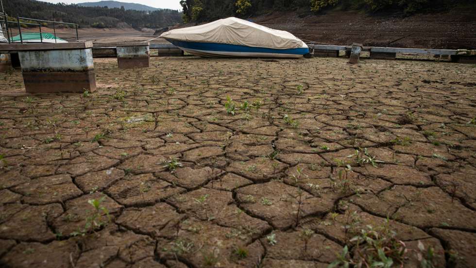"Exige-se, no imediato, que sejam implementadas medidas que venham reforçar a capacidade financeira dos agricultores", diz a CNA