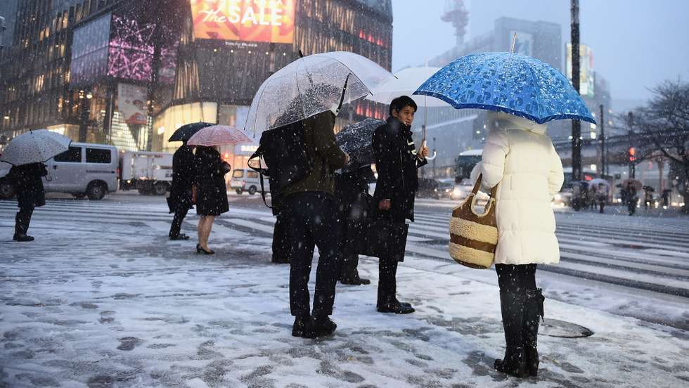 Tokyo Sees First Heavy Snow In Season