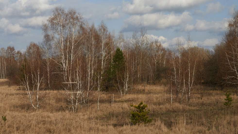 Chernobyl Disaster - 30th Anniversary