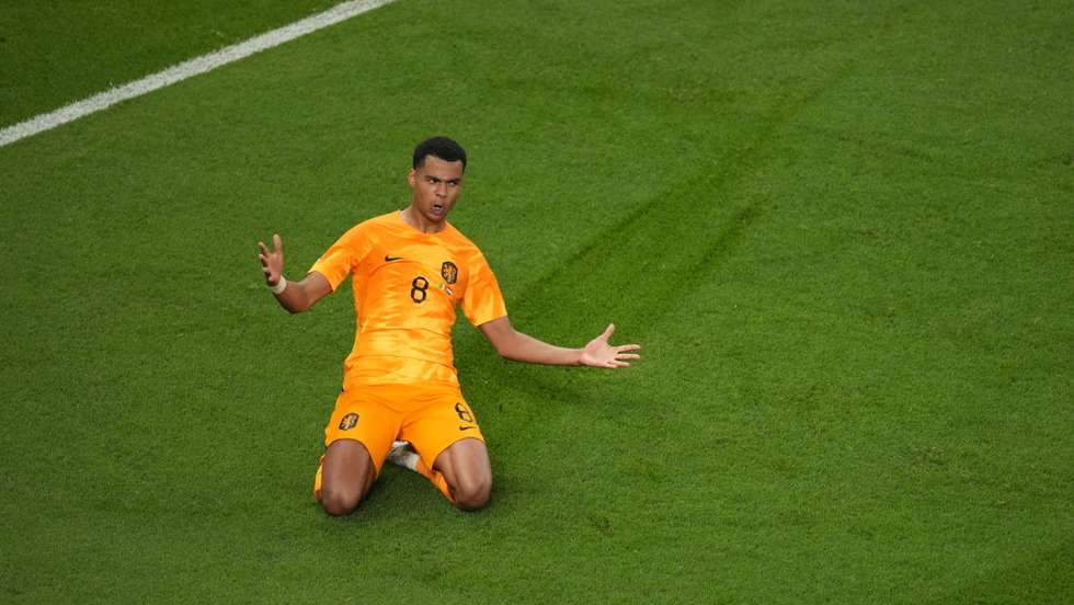 Senegal v Netherlands: FIFA World Cup 2022