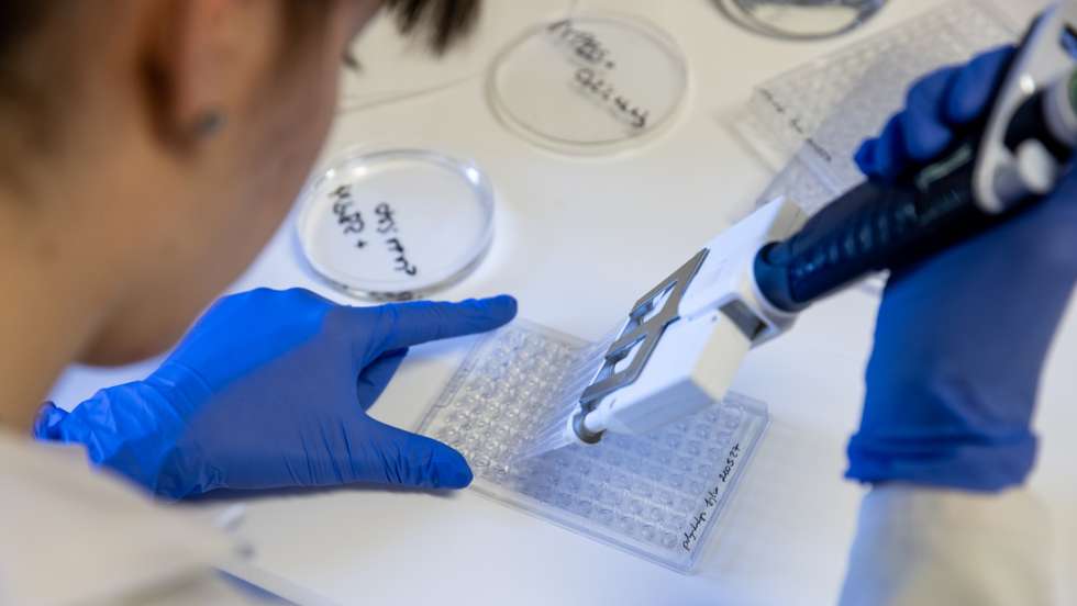 Hungarian Family Firm In Global Covid-19 Vaccine Race