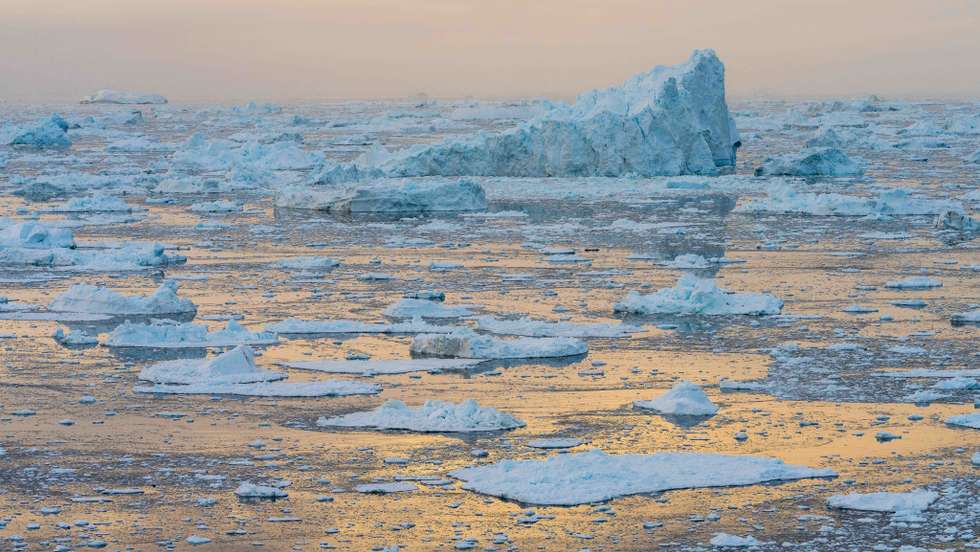 A poluição causada pela indústria e agricultura está a causar impacto nos ecossistemas marinhos