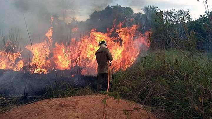 epa07793407 A handout photo made available by Acre Firefighters that shows firefighters trying to extinguish a fire in the Amazon rainforest, in Rio Branco, Acre State, 24 August 2019 (Issued 25 August 2019). The northern state of the Amazon formalized the request for the Brazilian Armed Forces to act in the fight of the fires that hit the Amazon region, so there are already seven Brazilian states that have formally requested the help of the military.  EPA/Firefighters Acre HANDOUT  BEST QUALITY AVAILBLE HANDOUT EDITORIAL USE ONLY/NO SALES