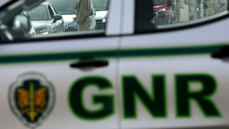 GNR encontrou os "animais numa residência, em número excessivo e num ambiente com graves faltas de higiene e salubridade"